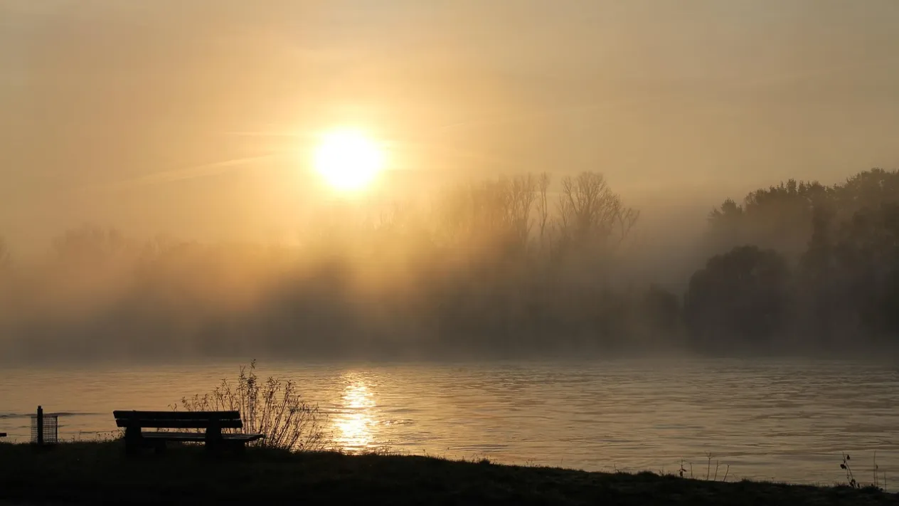 rhine-595023_1280 (Foto: Pixabay) rhine-595023_1280 (Foto: Pixabay)
